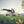 Laden Sie das Bild in den Galerie-Viewer, Camper & Go Markise - TUBE Line